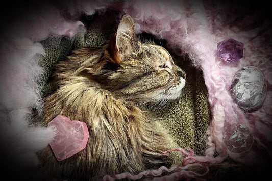 Healing Your Heart: Grief & Crystals for Pet Loss 💔🔮