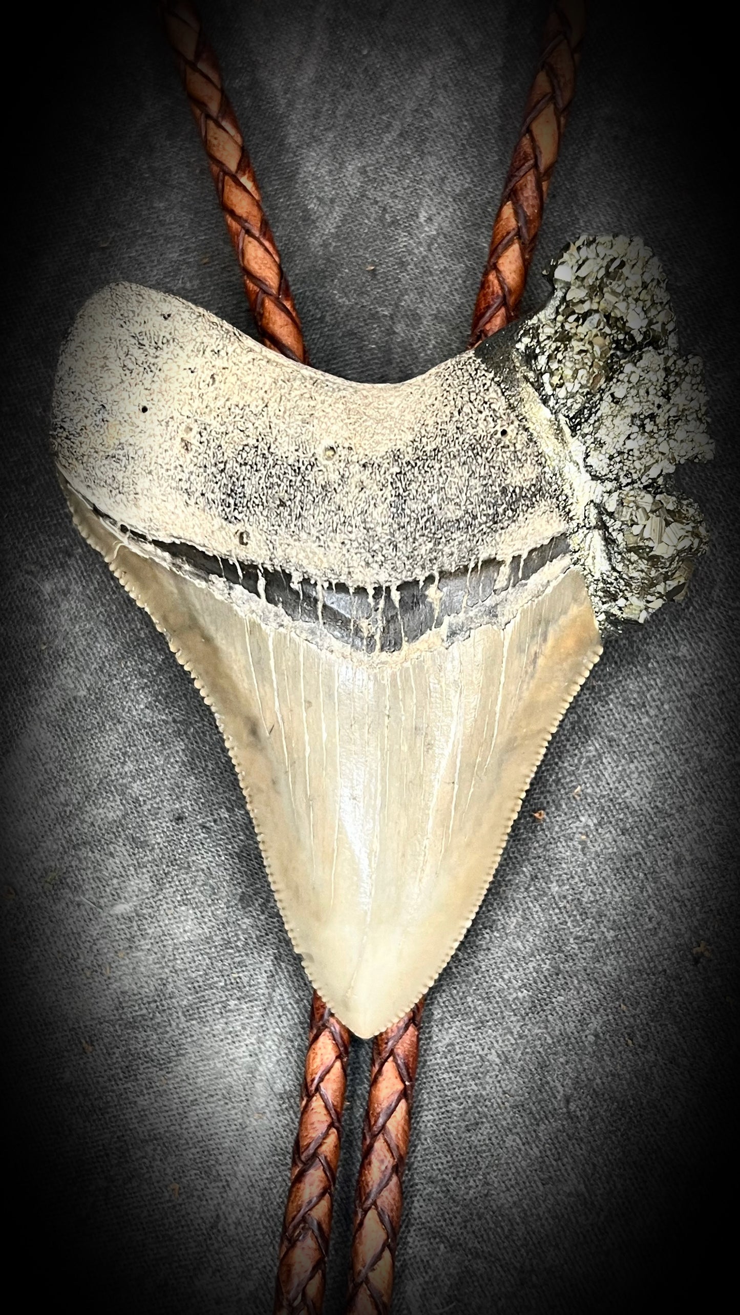 A prehistoric Megalodon tooth bolo tie adorned with shimmering Pyrite crystals on soft brown bolo leather. Maximalist Western style trend holiday gift for him!