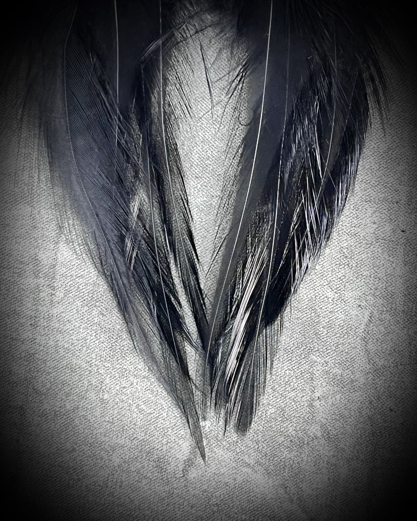 Mystical handmade black crystal earrings for her. Handmade black feather and moonstone dangle earrings on sterling silver hooks.