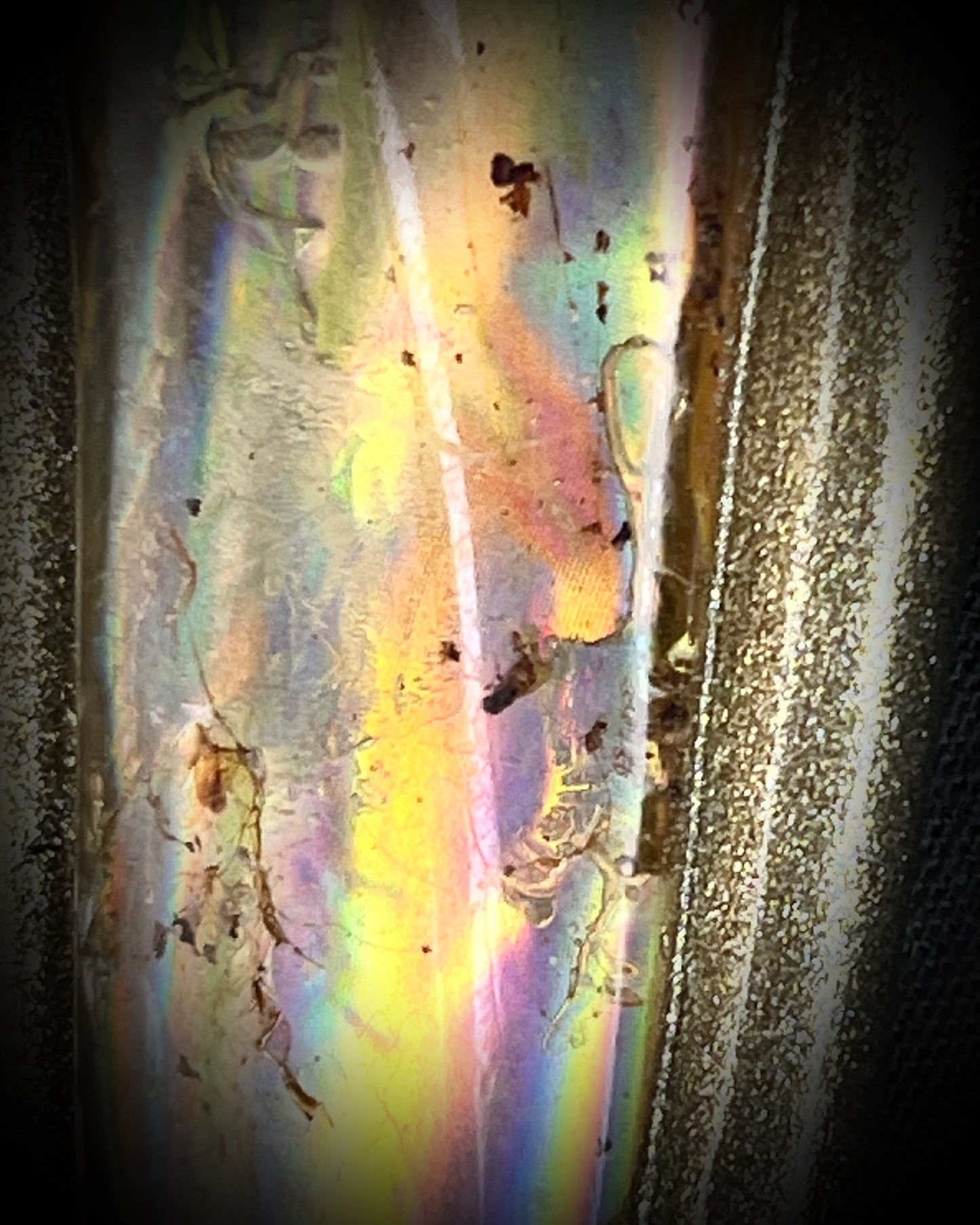 Close up of Insect included statement amber pendant in gold finish on marigold and yellow recycled silks. Enchanting ancient holiday gift for her!