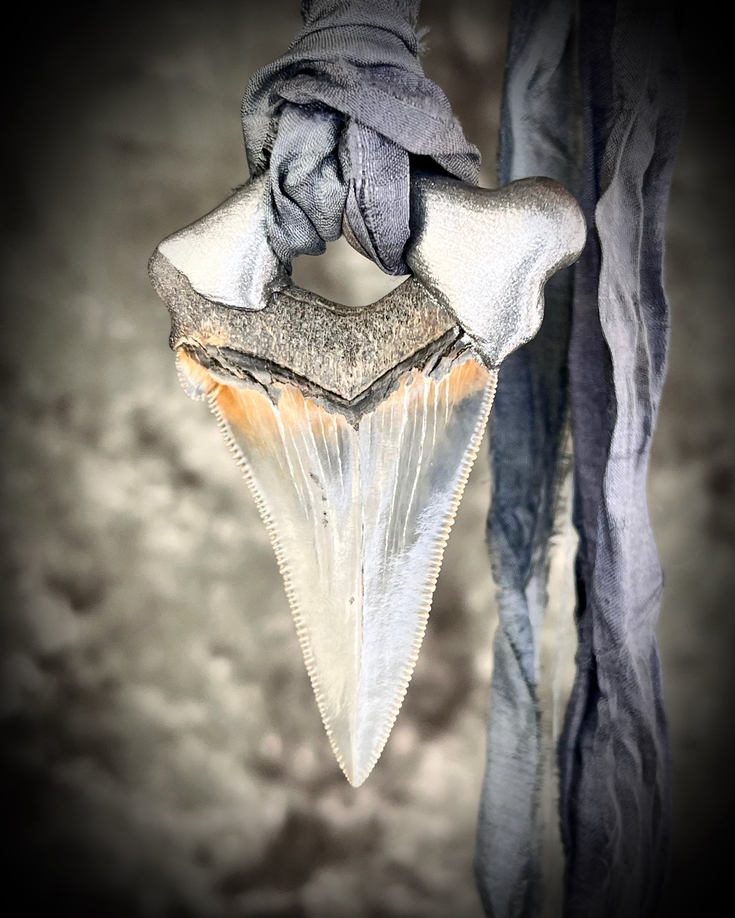 Megalodon shark tooth fossil handcrafted crystal talisman featuring rainbow moonstones in silver, hung from recycled slate gray silk. Beach wedding or beach photoshoot, cosplay, fantasy film costume or everyday enchantment!