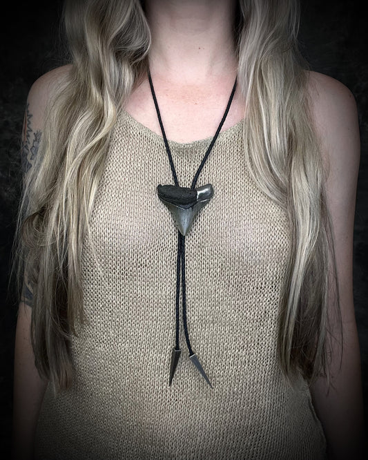 Megalodon fossil shark tooth bolo tie with gunmetal silver spike tips and clasp on black leather, Western-inspired fossil statement jewelry handmade in Baltimore Maryland.