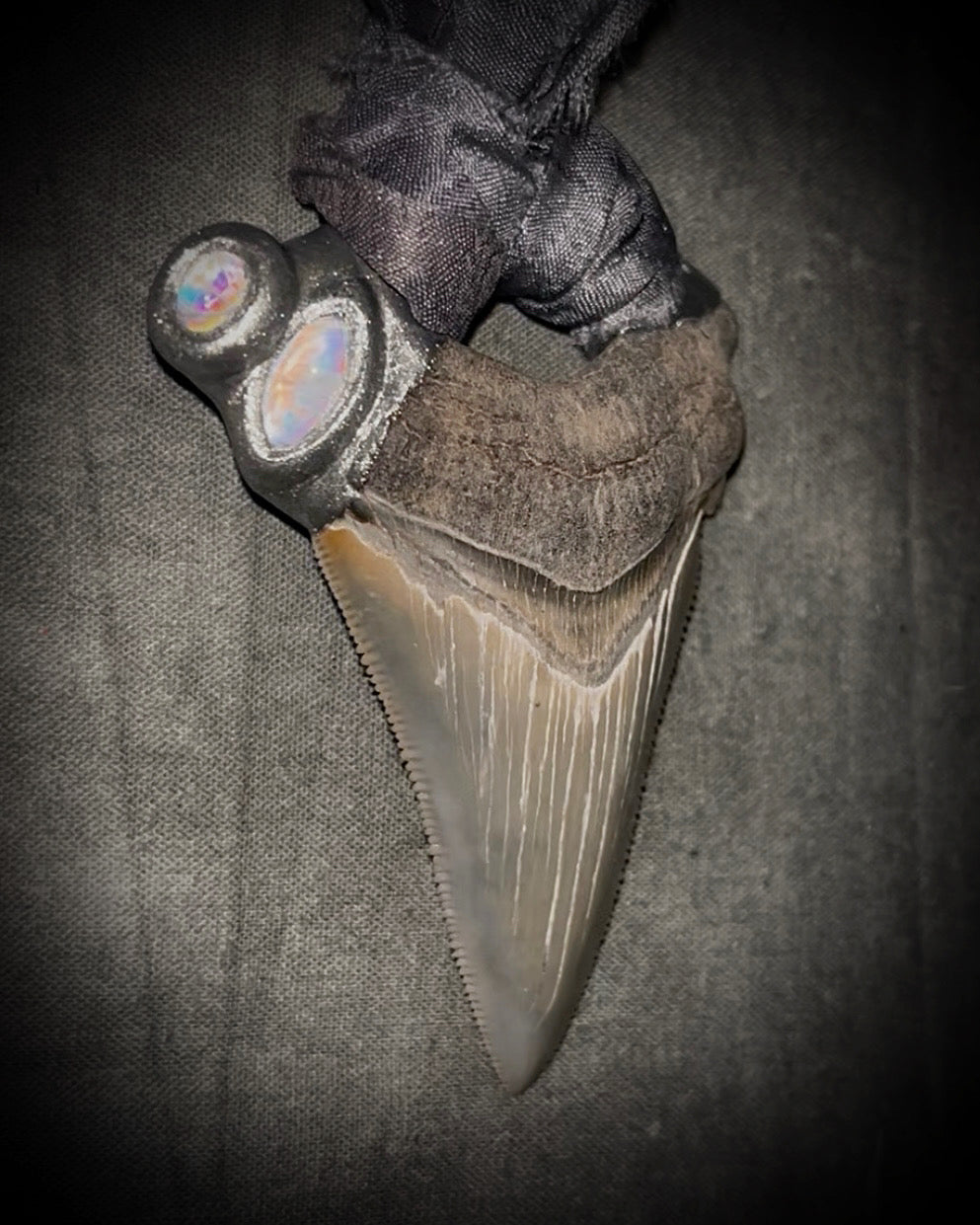 Megalodon shark tooth fossil handcrafted crystal talisman featuring rainbow moonstones in silver, hung from recycled slate gray silk. Beach wedding or beach photoshoot, cosplay, fantasy film costume or everyday enchantment!