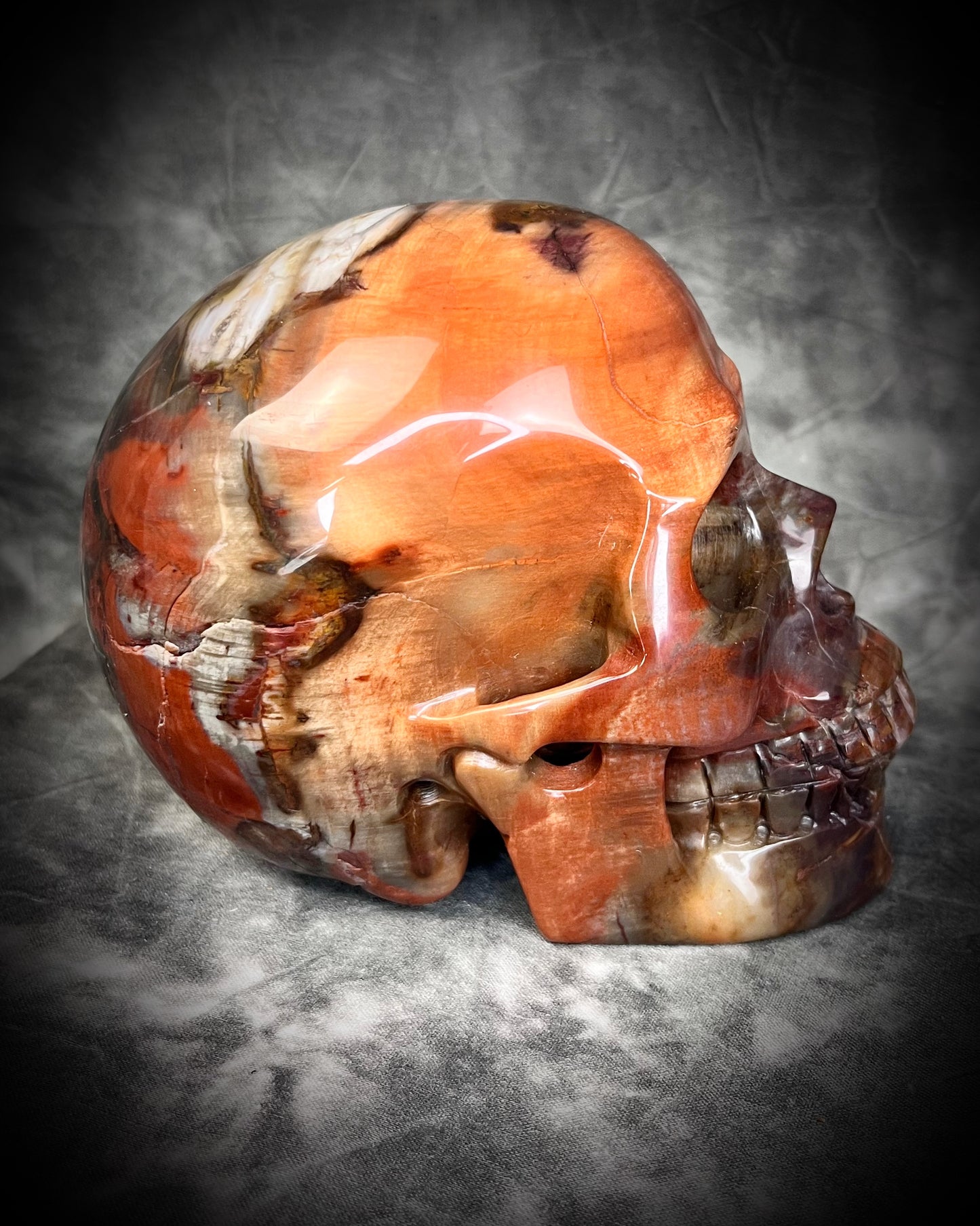 Petrified Wood Crystal skull with rainbows of red and earthy browns. 5" extra large crystal skull for grounding, meditation, gifting, manifestation and magic.