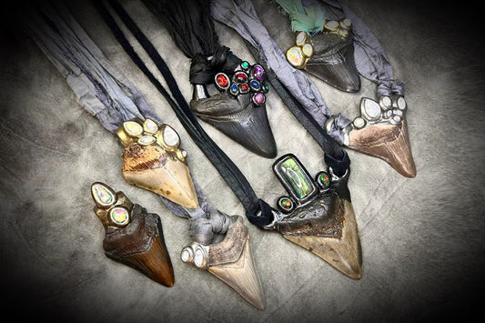 Home of the Megalodon Crystal Necklace Blog Post Ancient Power, Modern Magic: The Story Behind Our Megalodon Crystal Talismans