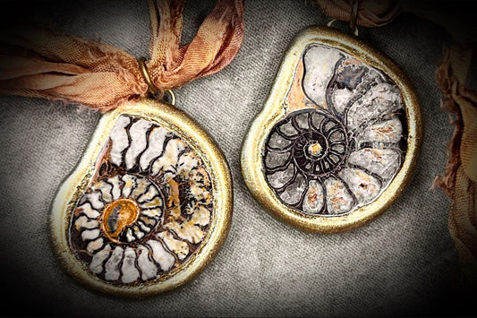 Blog Post by Become Spellbound featuring New York Times article about Ammonite Fossil Jewelry Trends in 2025 