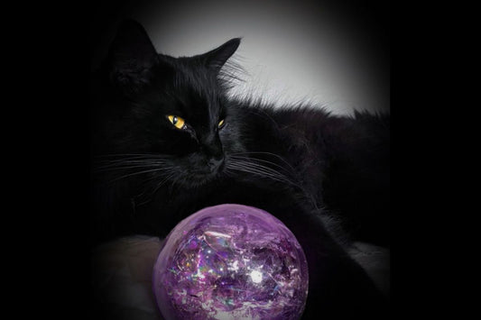 Black Cat sitting with a huge amethyst crystal sphere.  The gemstone healing properties of amethyst include calm and protection.