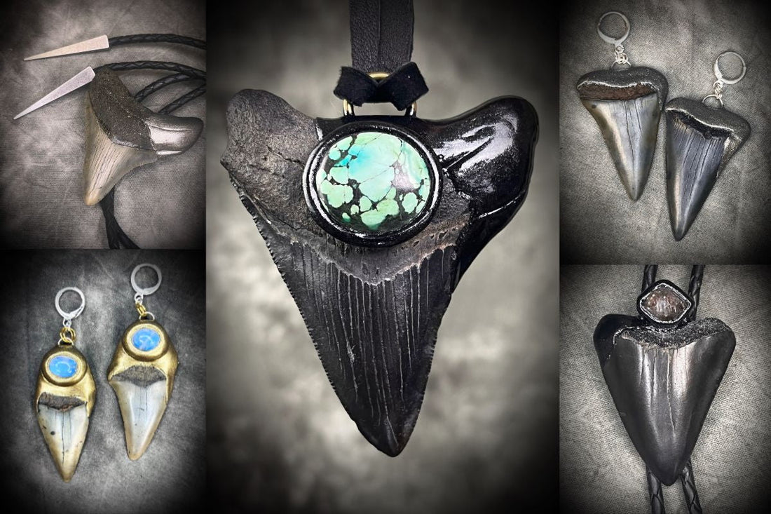 Several Megalodon and Shark tooth necklaces, bolo ties and earrings by Become Spellbound, Maryland's Megalodon jewelry maker
