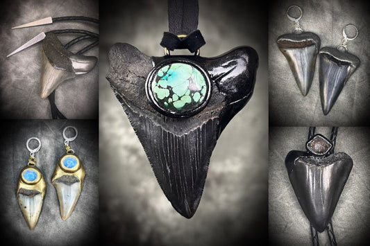 Several Megalodon and Shark tooth necklaces, bolo ties and earrings by Become Spellbound, Maryland's Megalodon jewelry maker