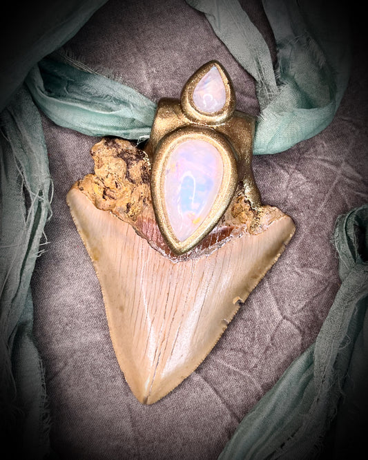 Megalodon shark tooth fossil handcrafted crystal talisman featuring rainbow moonstones in gold, hung from recycled aqua silk. Beach wedding or beach photoshoot, cosplay, fantasy film costume, sustainable festival jewelry or everyday enchantment!