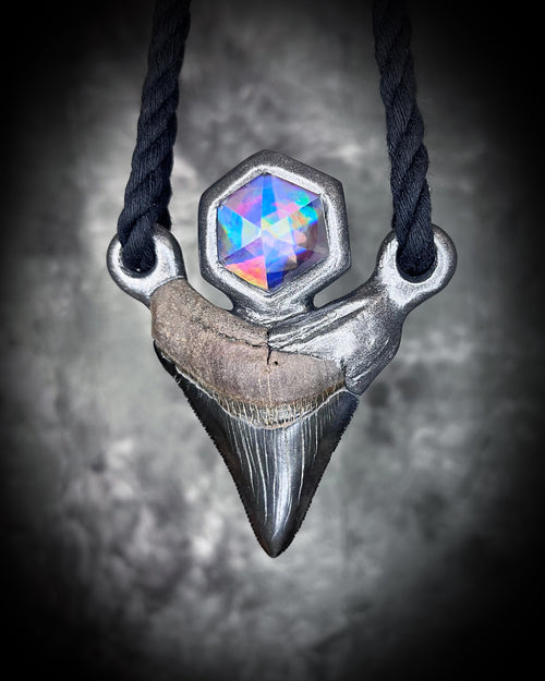 Megalodon Tooth with Black Rainbow Quartz Talisman