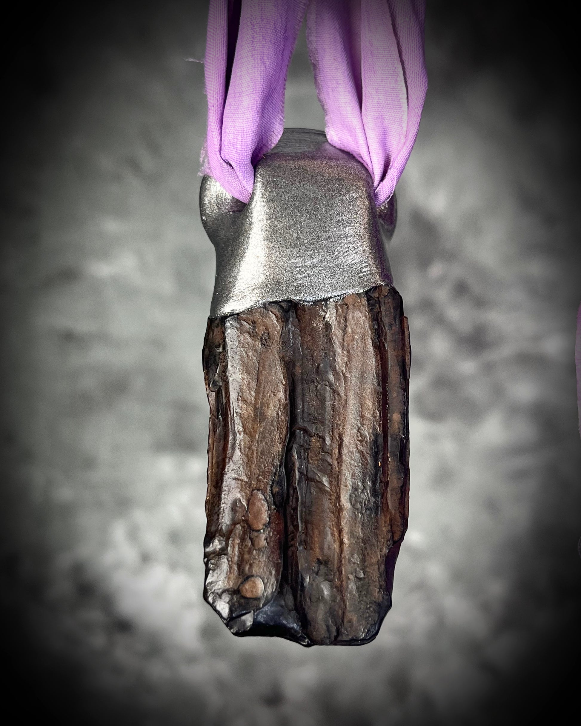 Equus Fossil Horse Tooth necklace. Year of the Horse necklace talisman with amethyst birthstone crystal. Handmade amethyst pendant, best valentines gift for her. Recycled silk jewelry. 