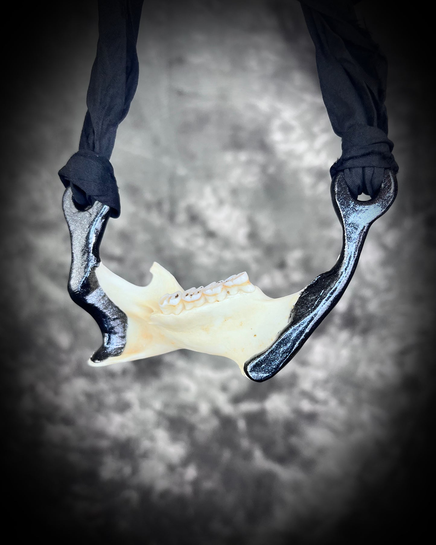 Porcupine Jaw Genuine Handmade Spirit Animal Macabre Talisman, Halloween Jewelry Gift for Her