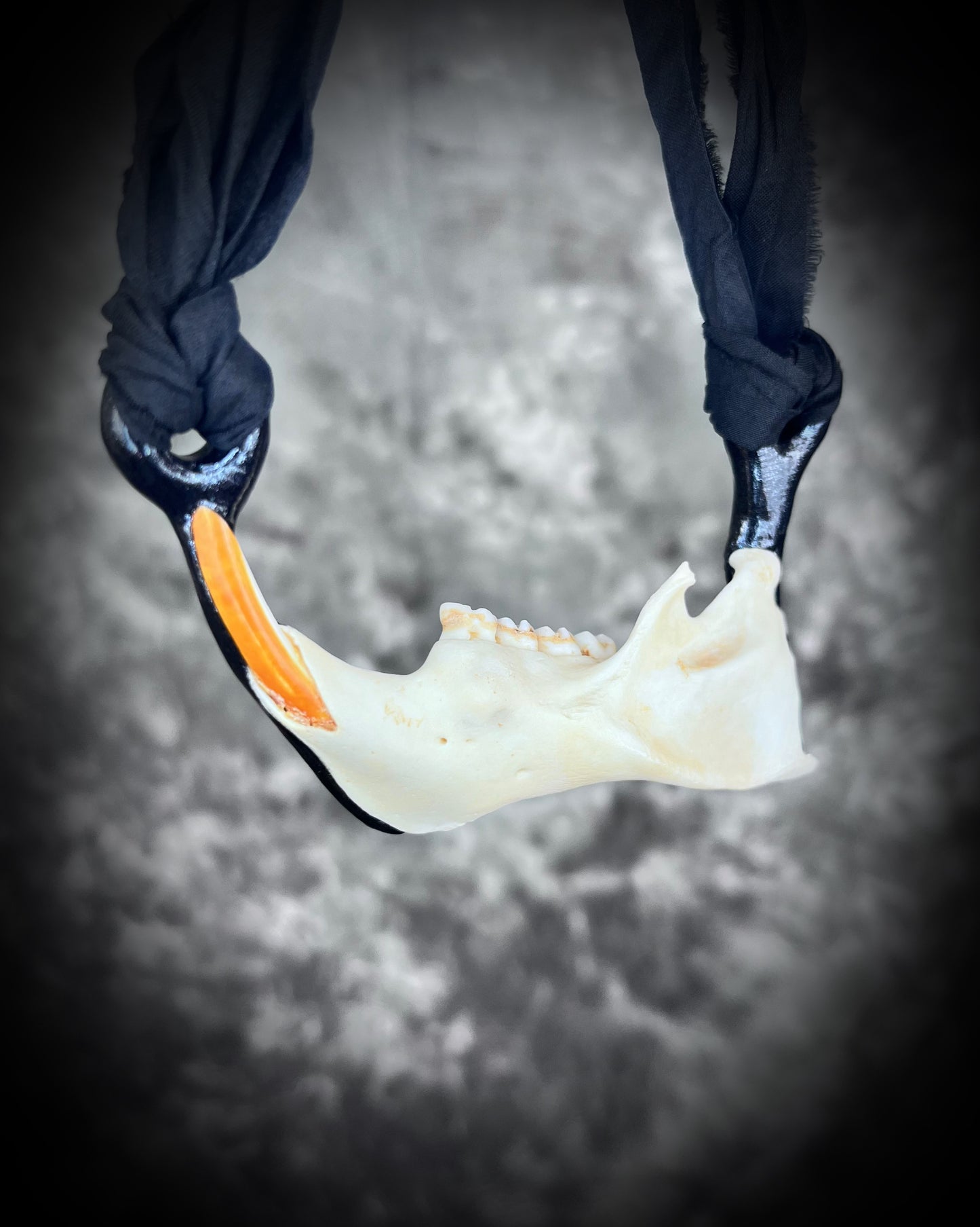 Porcupine Jaw Genuine Handmade Spirit Animal Macabre Talisman, Halloween Jewelry Gift for Her