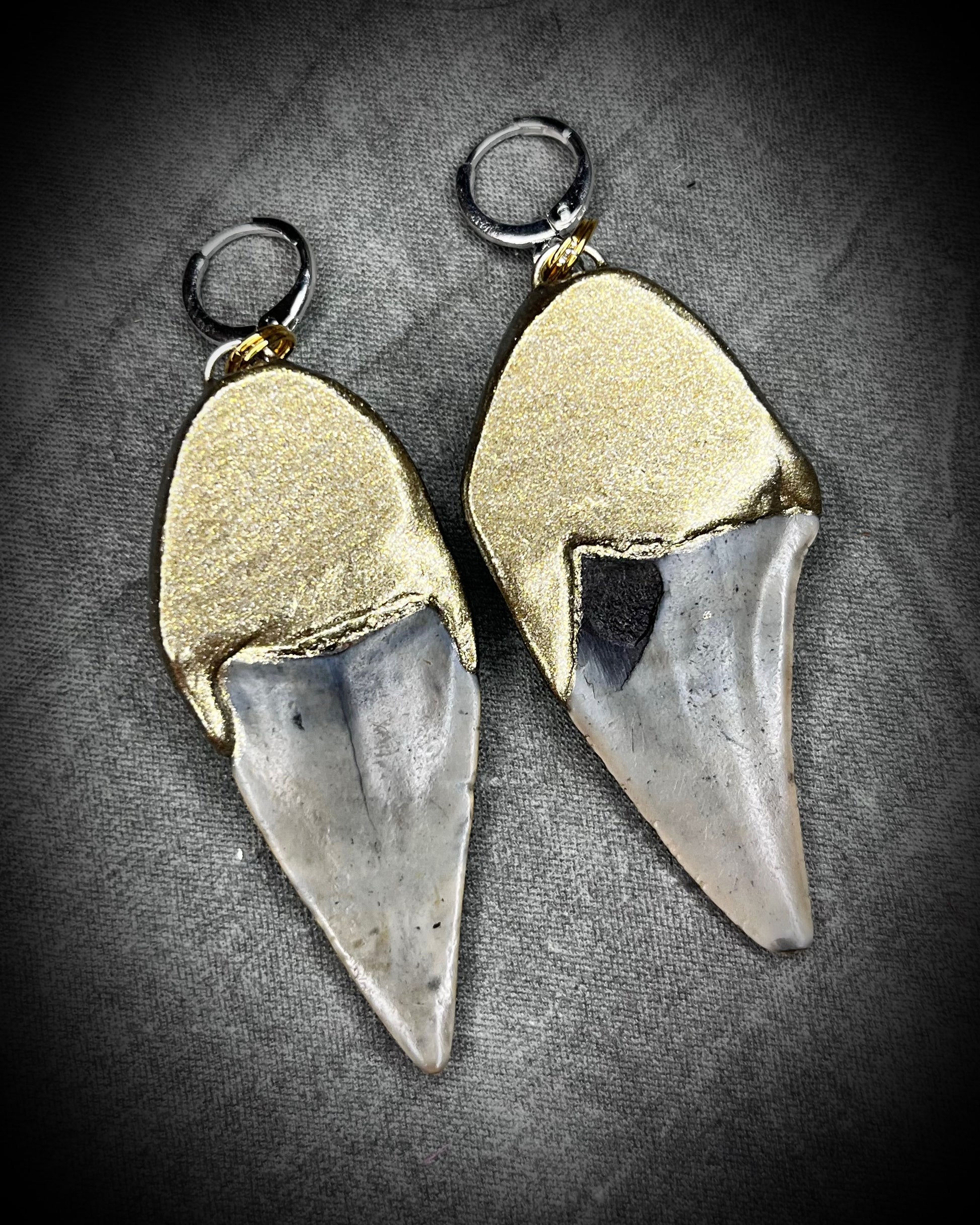 Natural shark tooth fossil and moonstone gold tone with sterling silver mixed metal earrings.  Handmade in the USA, these dangle earrings will empower and inspire you!  Best gift for her. 
