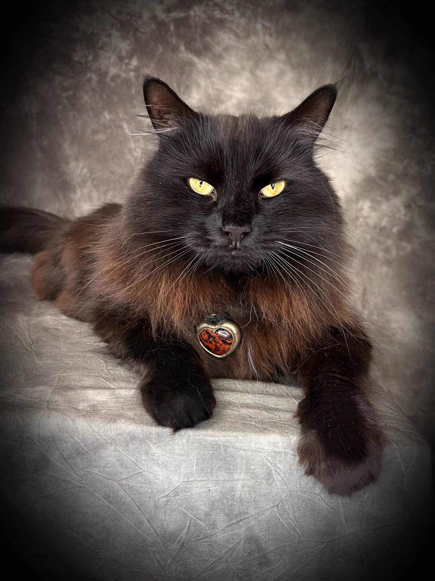 A beautiful black cat modeling a mahogany obsidian heart pendant, just for fun! Necklace for women, best gift for her. 