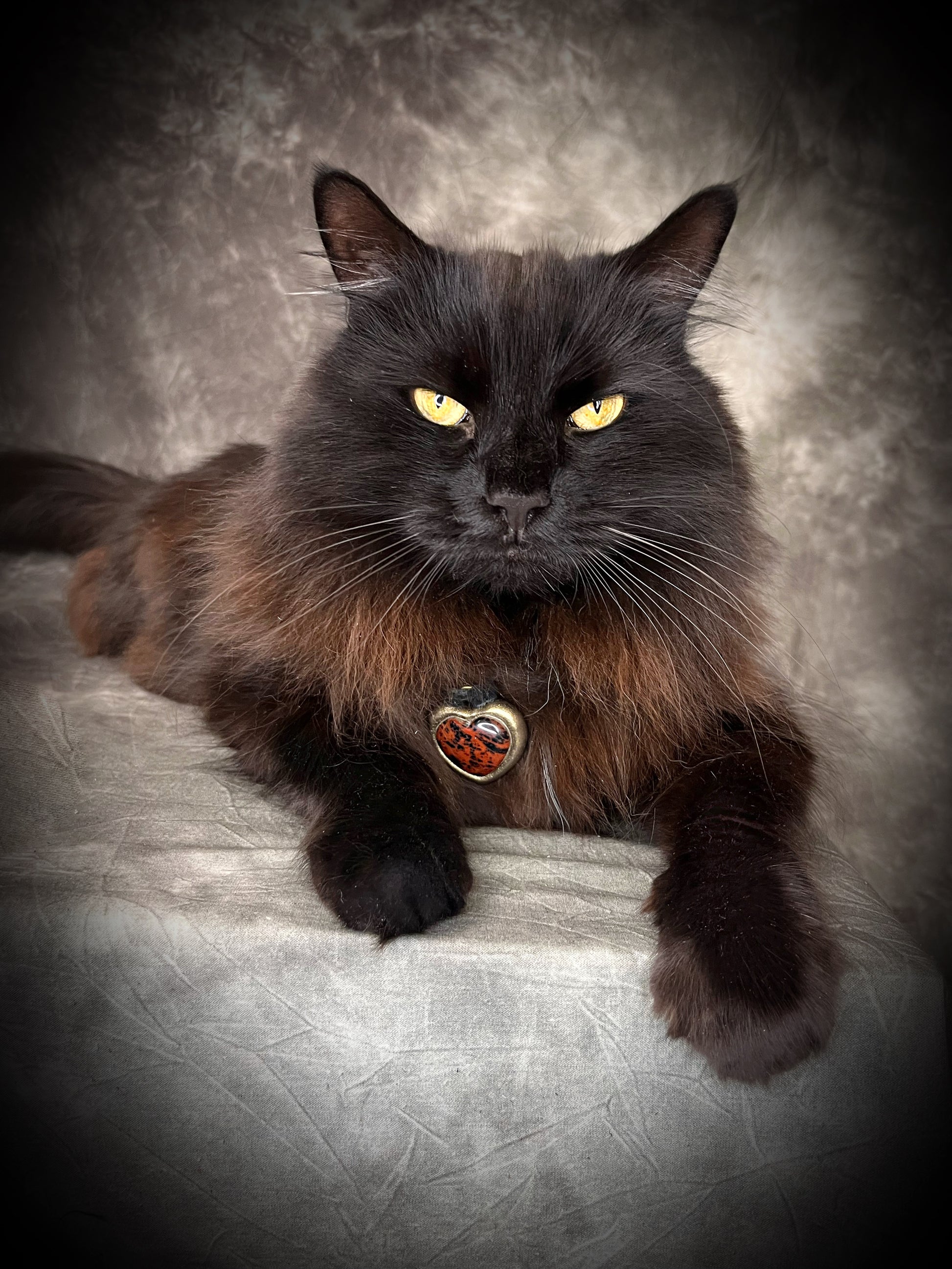 A beautiful black cat modeling a mahogany obsidian heart pendant, just for fun! Necklace for women, best gift for her. 