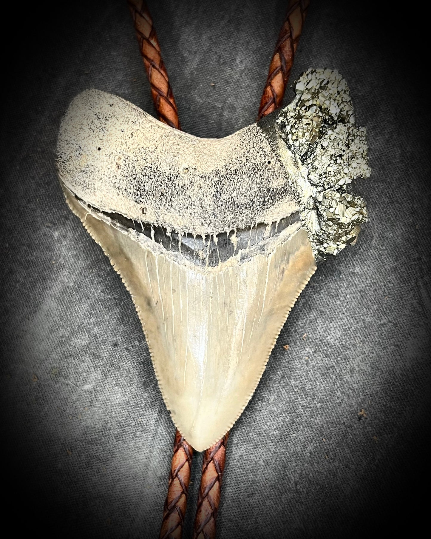 A prehistoric Megalodon tooth bolo tie adorned with shimmering Pyrite crystals on soft brown bolo leather. Maximalist Western style trend holiday gift for him!