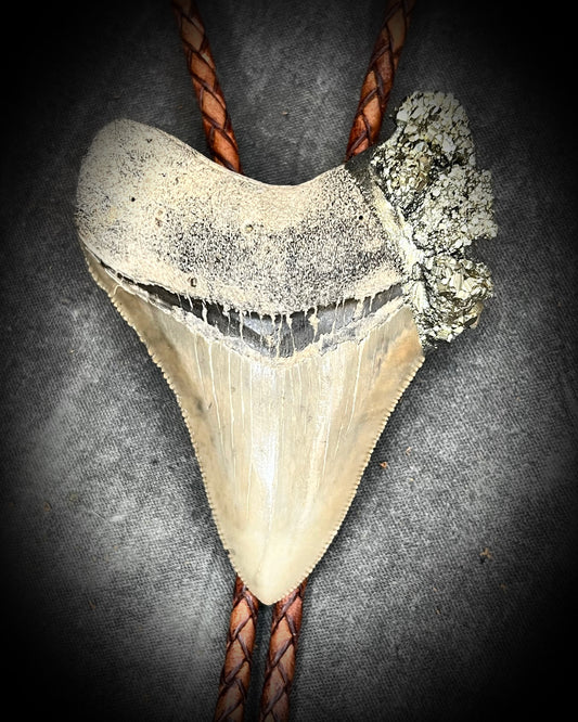 A prehistoric Megalodon tooth bolo tie adorned with shimmering Pyrite crystals on soft brown bolo leather. Maximalist Western style trend holiday gift for him!