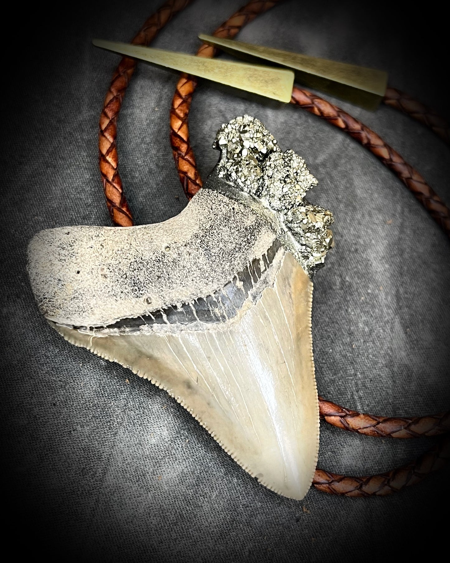 A prehistoric Megalodon tooth bolo tie adorned with shimmering Pyrite crystals on soft brown bolo leather. Maximalist Western style trend holiday gift for him!