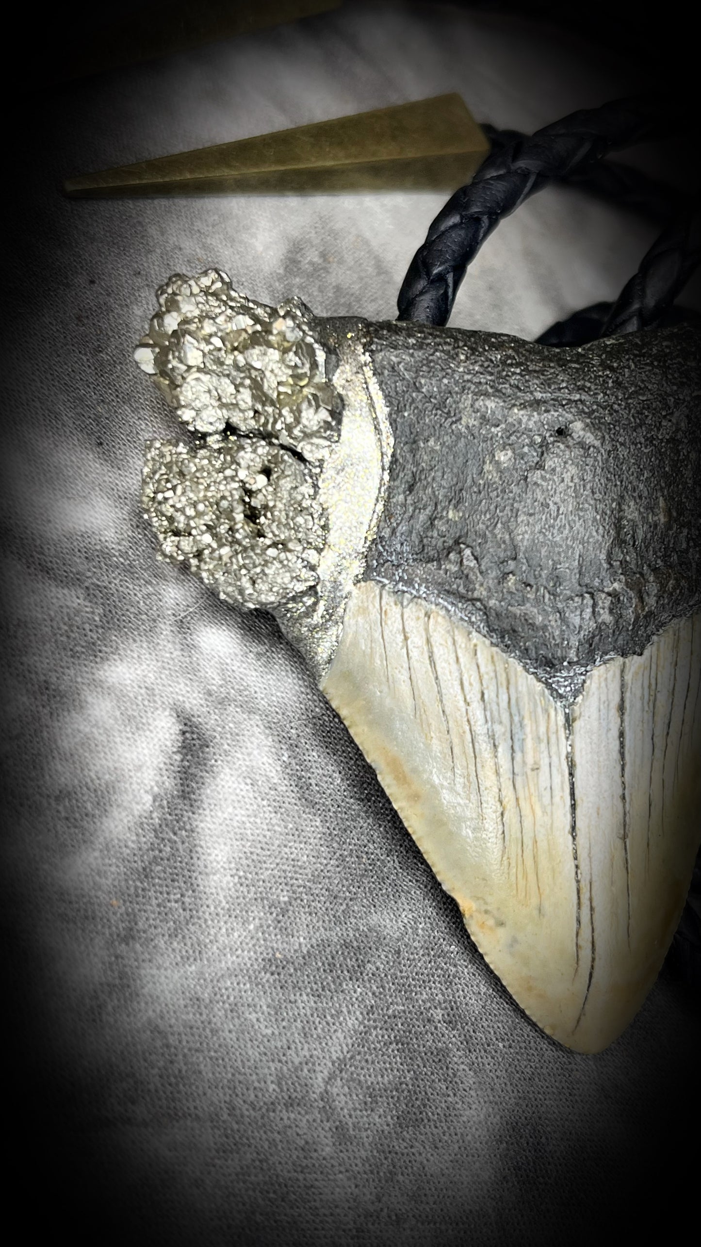 A prehistoric Megalodon tooth bolo tie set in a rugged gold metallic finish, adorned with shimmering Pyrite crystals on soft black bolo leather. Maximalist Western style trend gift for him!