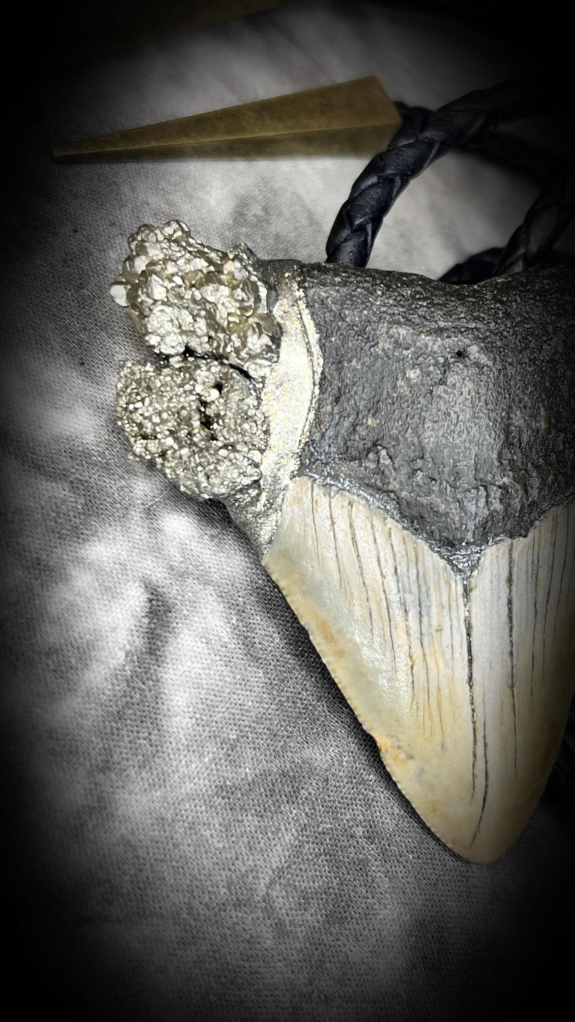 A prehistoric Megalodon tooth bolo tie set in a rugged gold metallic finish, adorned with shimmering Pyrite crystals on soft black bolo leather. Maximalist Western style trend gift for him!