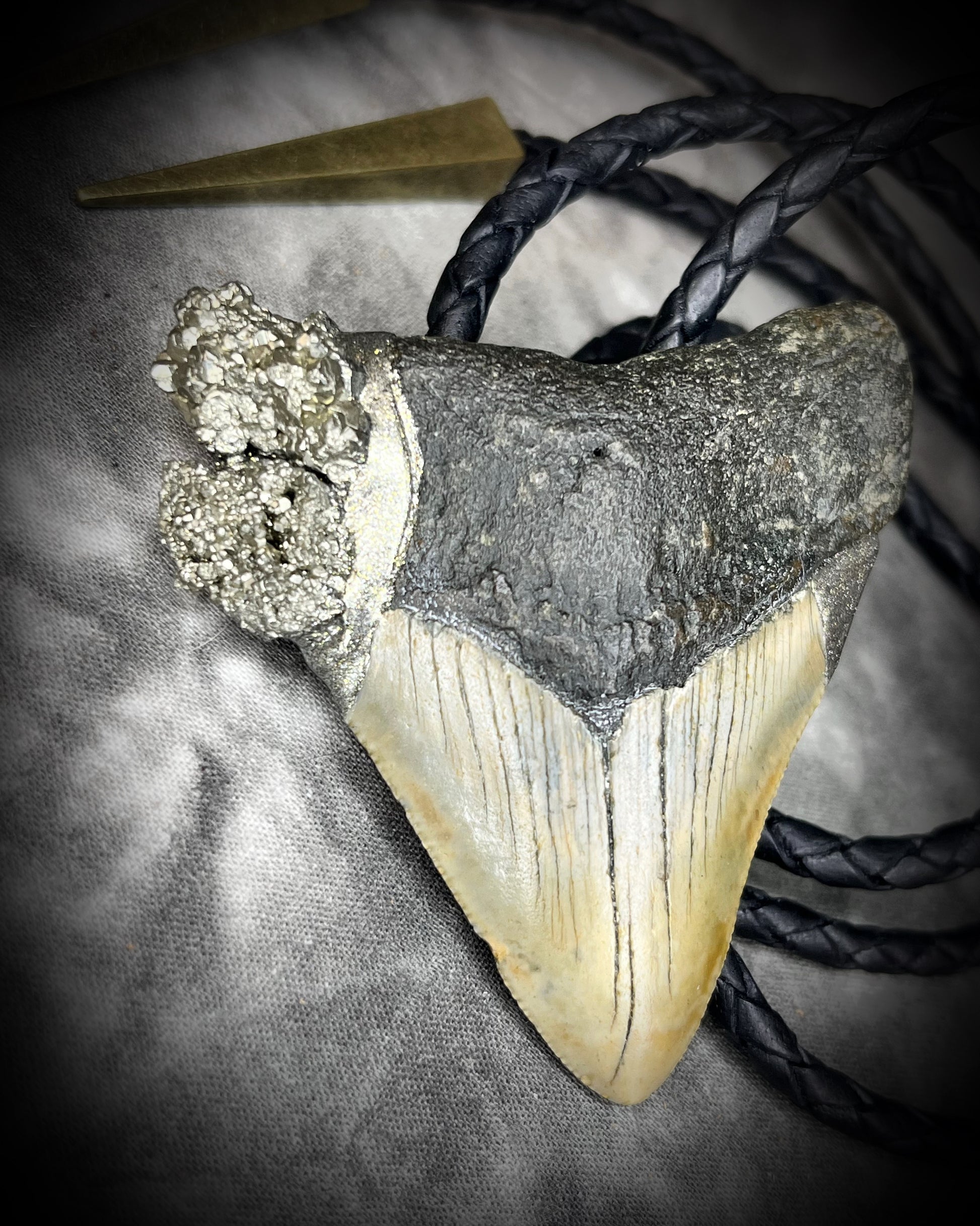 A prehistoric Megalodon tooth bolo tie set in a rugged gold metallic finish, adorned with shimmering Pyrite crystals on soft black bolo leather. Maximalist Western style trend gift for him!