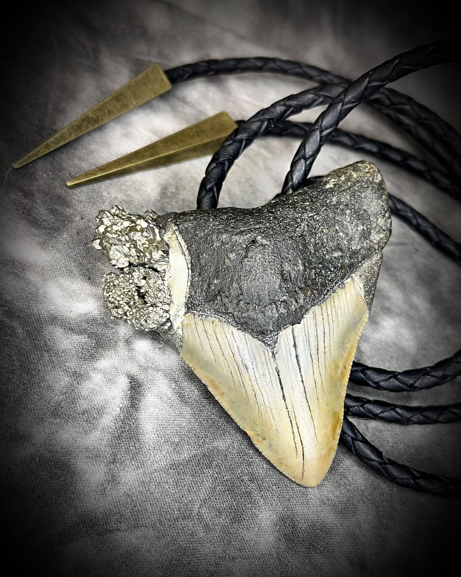 A prehistoric Megalodon tooth bolo tie set in a rugged gold metallic finish, adorned with shimmering Pyrite crystals on soft black bolo leather. Maximalist Western style trend gift for him!