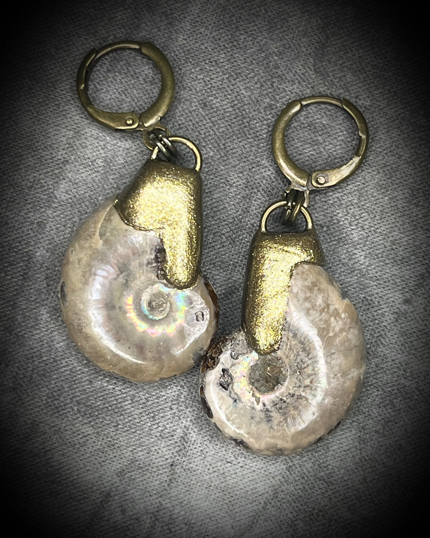 Ammonite fossil earrings featuring ancient spiral fossil forms on hypoallergenic huggie hooks, handmade by Become Spellbound.