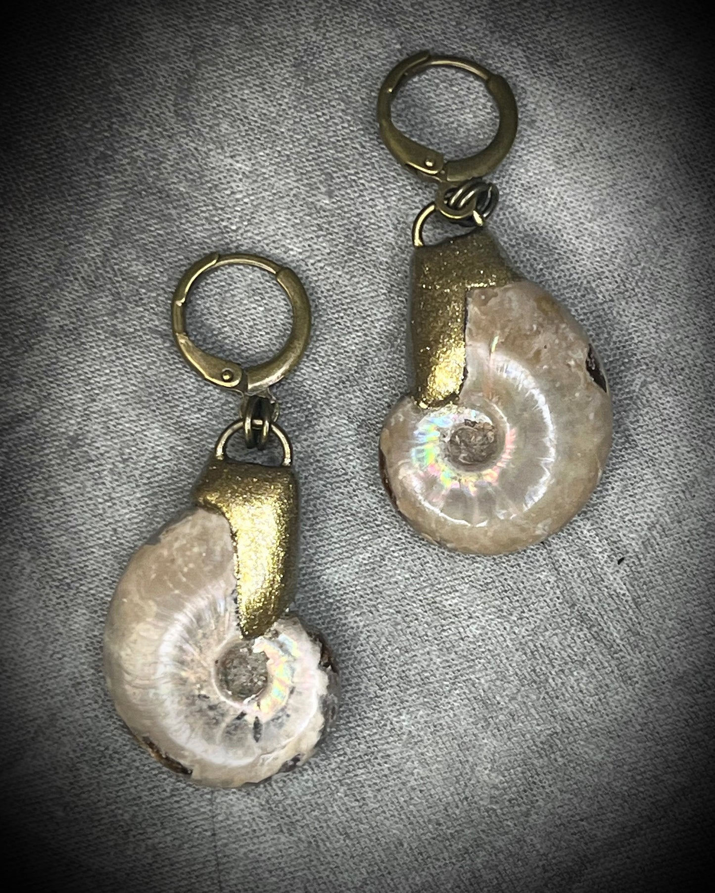 Ammonite fossil earrings featuring ancient spiral fossil forms on hypoallergenic huggie hooks, handmade by Become Spellbound.