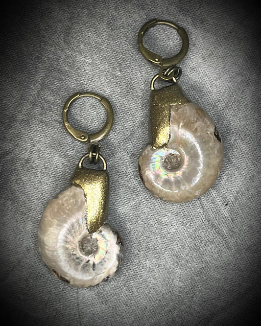 Ammonite fossil earrings featuring ancient spiral fossil forms on hypoallergenic huggie hooks, handmade by Become Spellbound.