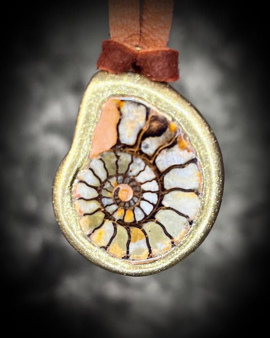 Ammonite fossil handmade ancient natural history necklace on earthy brown leather in a gold finish.