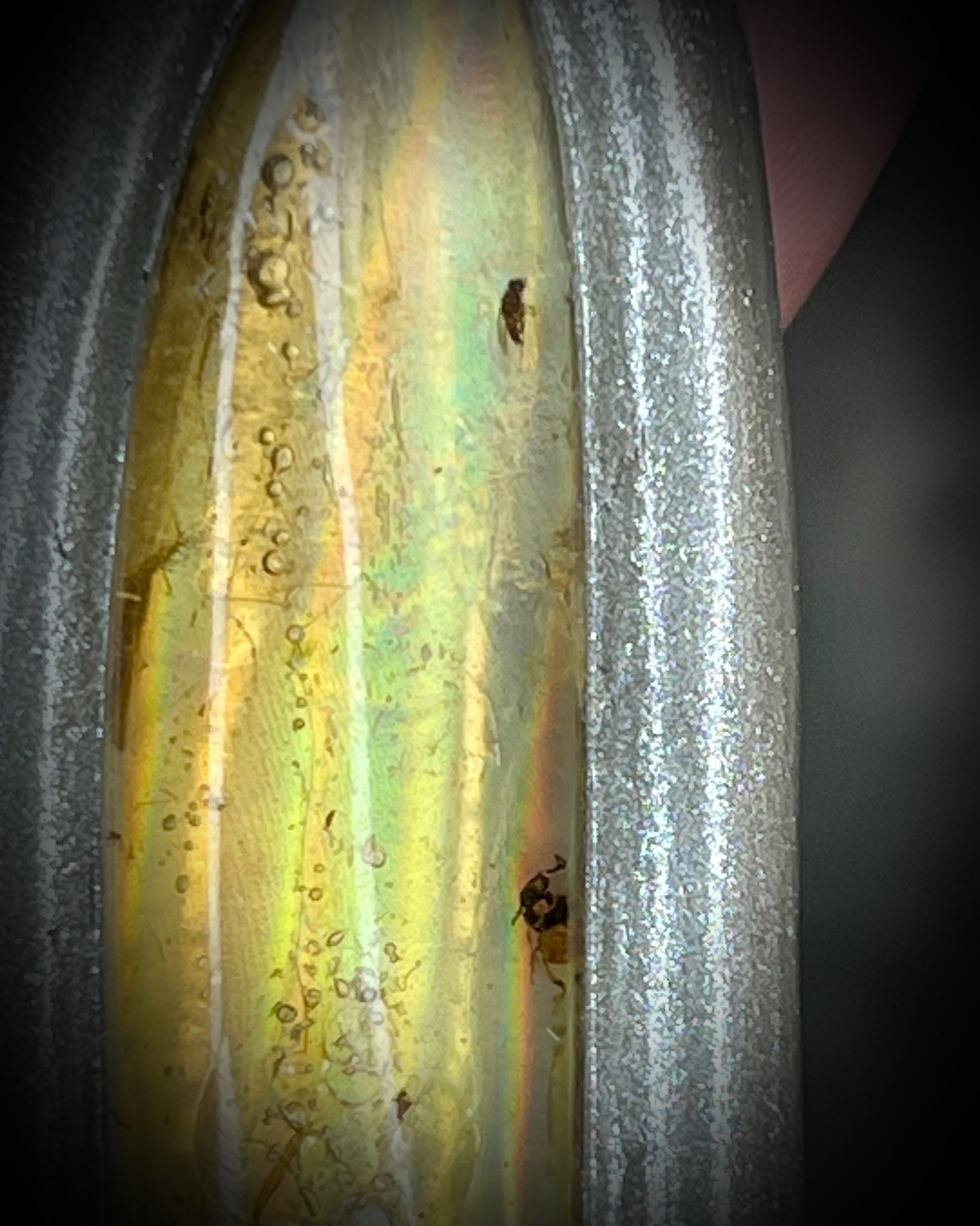 Close up of ancient insect included amber pendant in silver finish on marigold and yellow recycled silks. Enchanting natural history holiday gift for her!