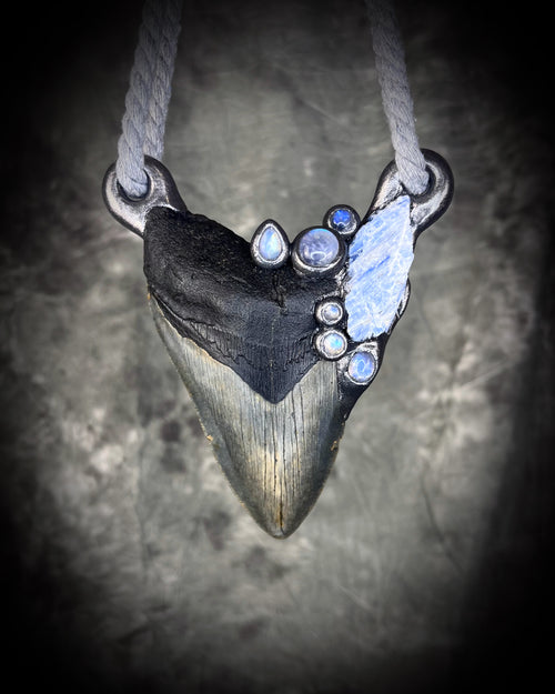 Megalodon Tooth with Rainbow Moonstone and Blue Kyanite Talisman