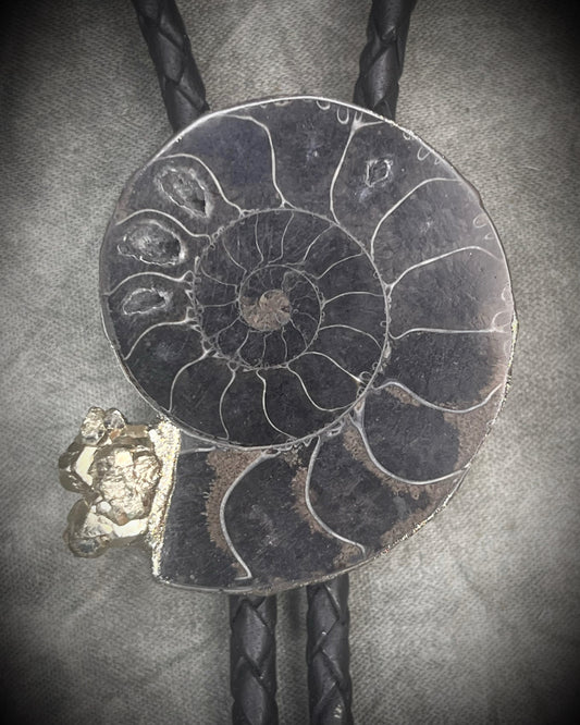 Black ammonite fossil and pyrite bolo tie on black leather with black spike tips, Western gothic statement jewelry with fossil and crystal detail, handmade in Baltimore Maryland. Closeup.