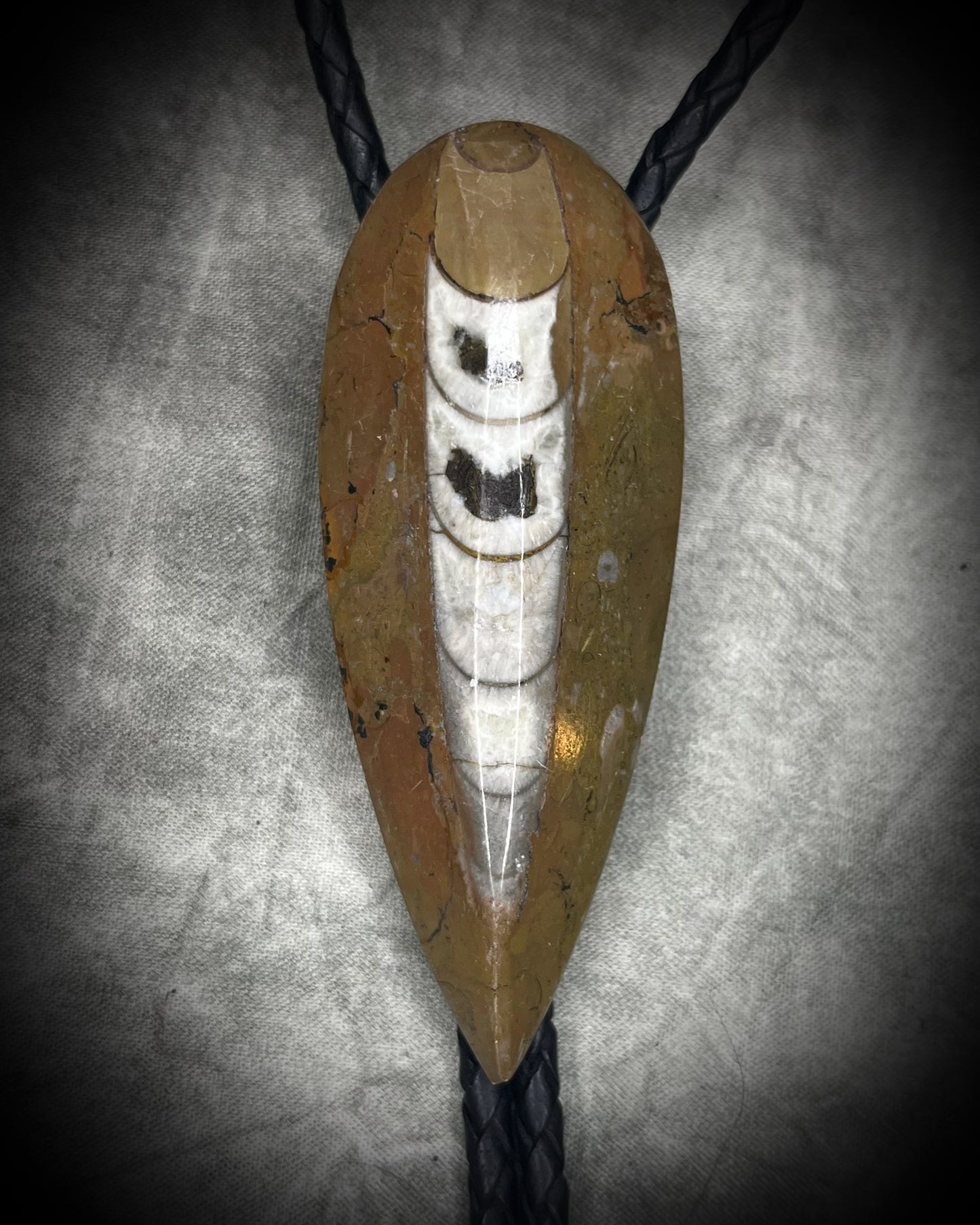 Earthy Orthoceras fossil bolo tie with brown, black and light fossil markings, black leather and black spike tips, handmade by Become Spellbound.