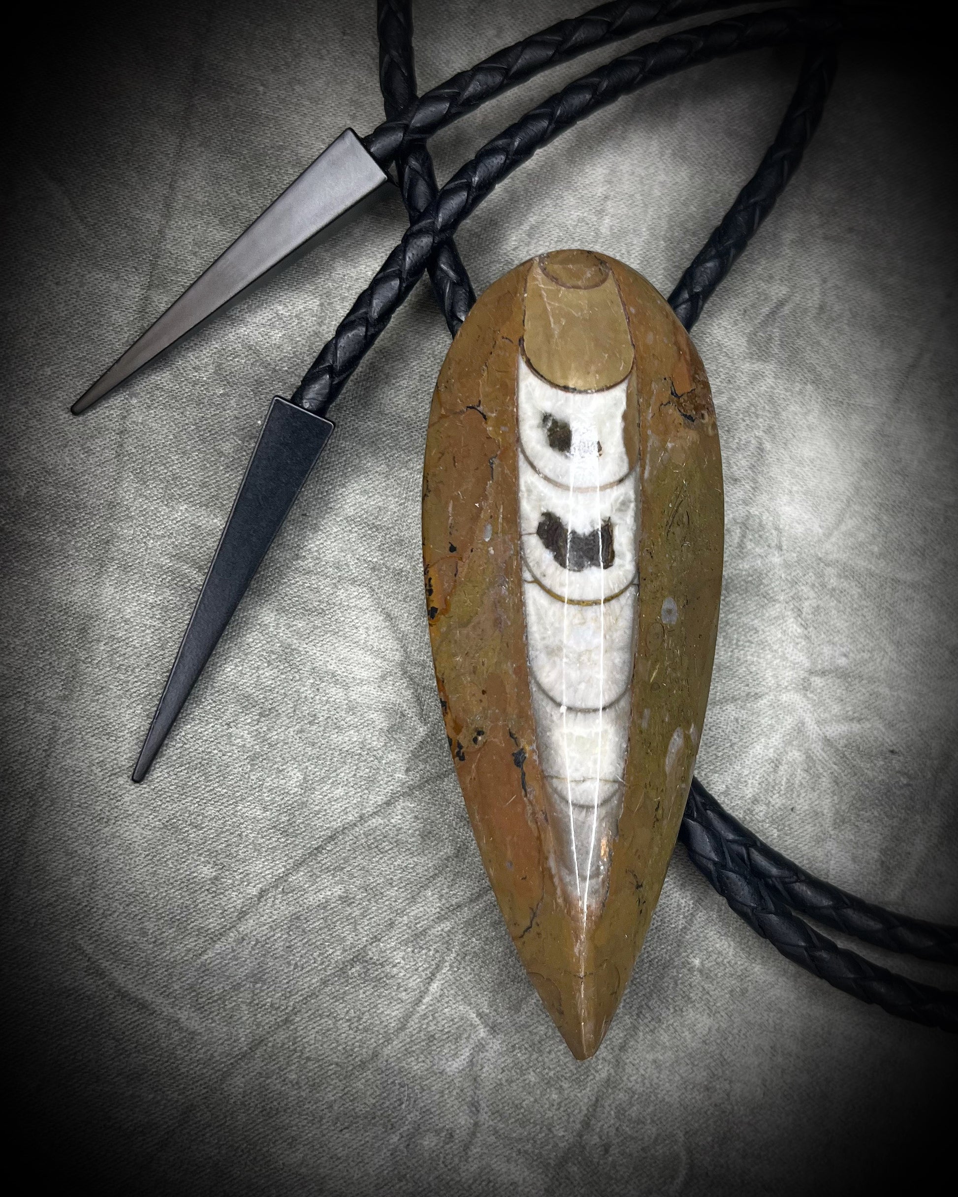 Earthy Orthoceras fossil bolo tie with brown, black and light fossil markings, black leather and black spike tips, handmade by Become Spellbound.
