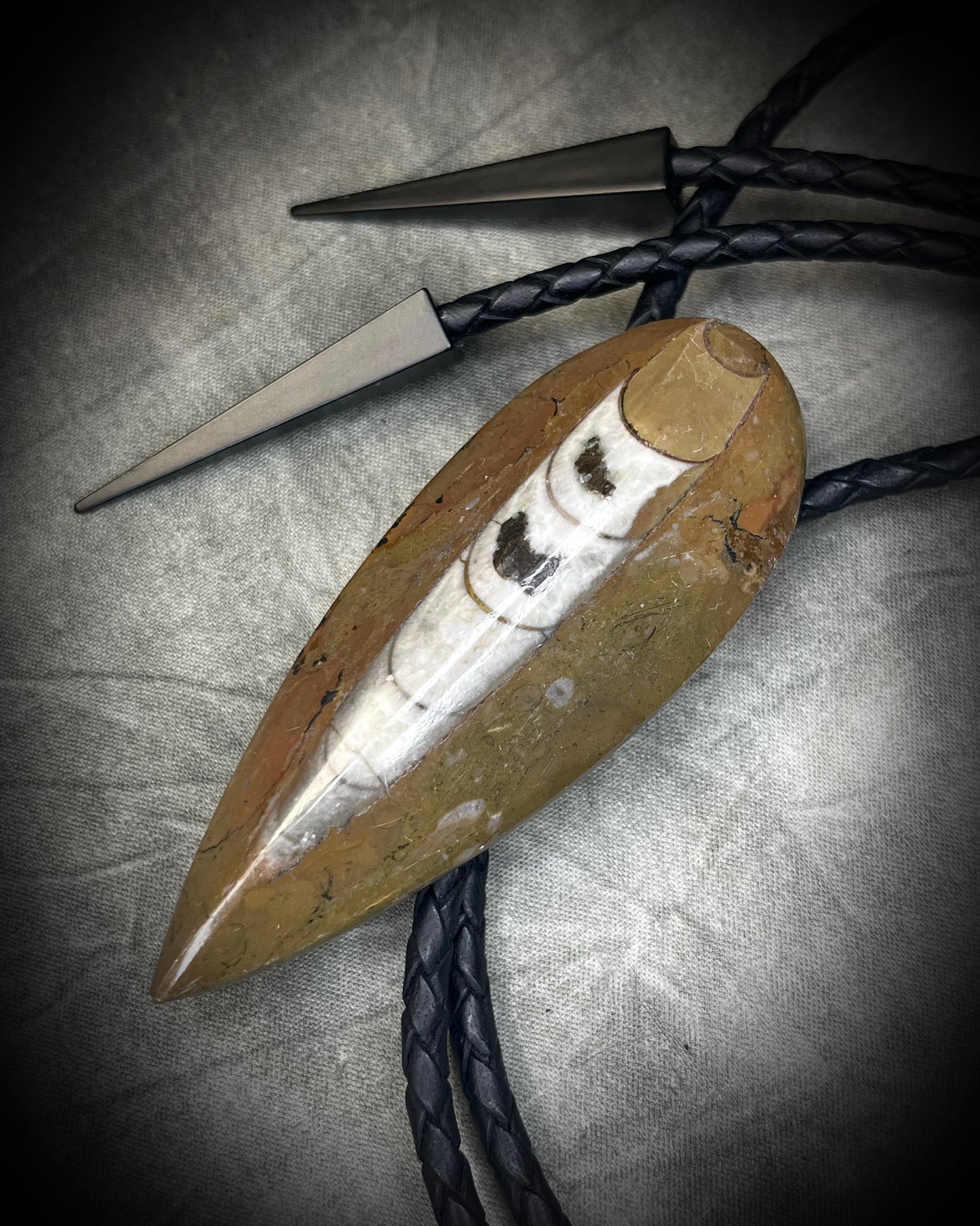Earthy Orthoceras fossil bolo tie with brown, black and light fossil markings, black leather and black spike tips, handmade by Become Spellbound.