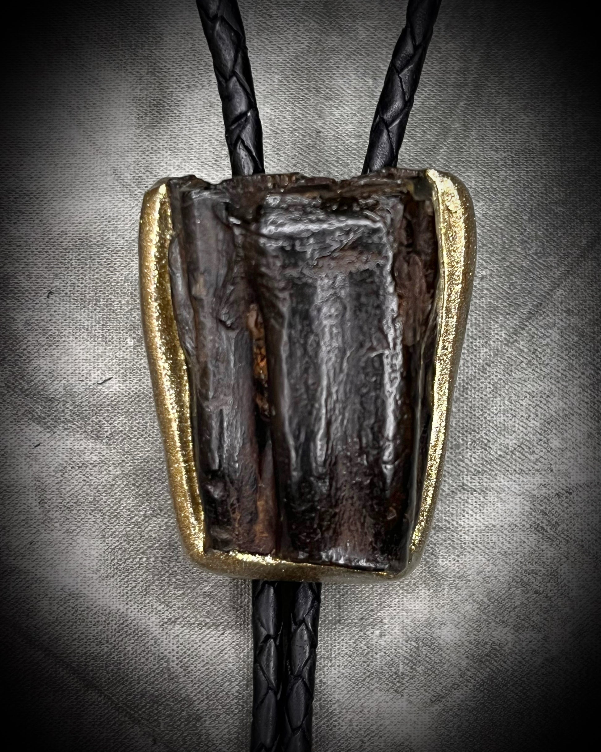 Equus Tooth horse fossil bolo tie for him. Handmade Western inspired bolo jewelry with genuine fossil and gold brass bolo tips on soft black leather. 2026 mens jewelry trends.