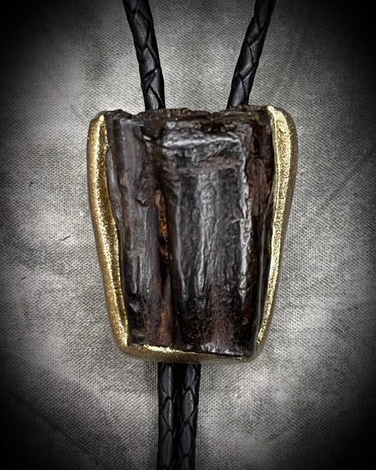 Equus Tooth horse fossil bolo tie for him. Handmade Western inspired bolo jewelry with genuine fossil and gold brass bolo tips on soft black leather. 2026 mens jewelry trends.