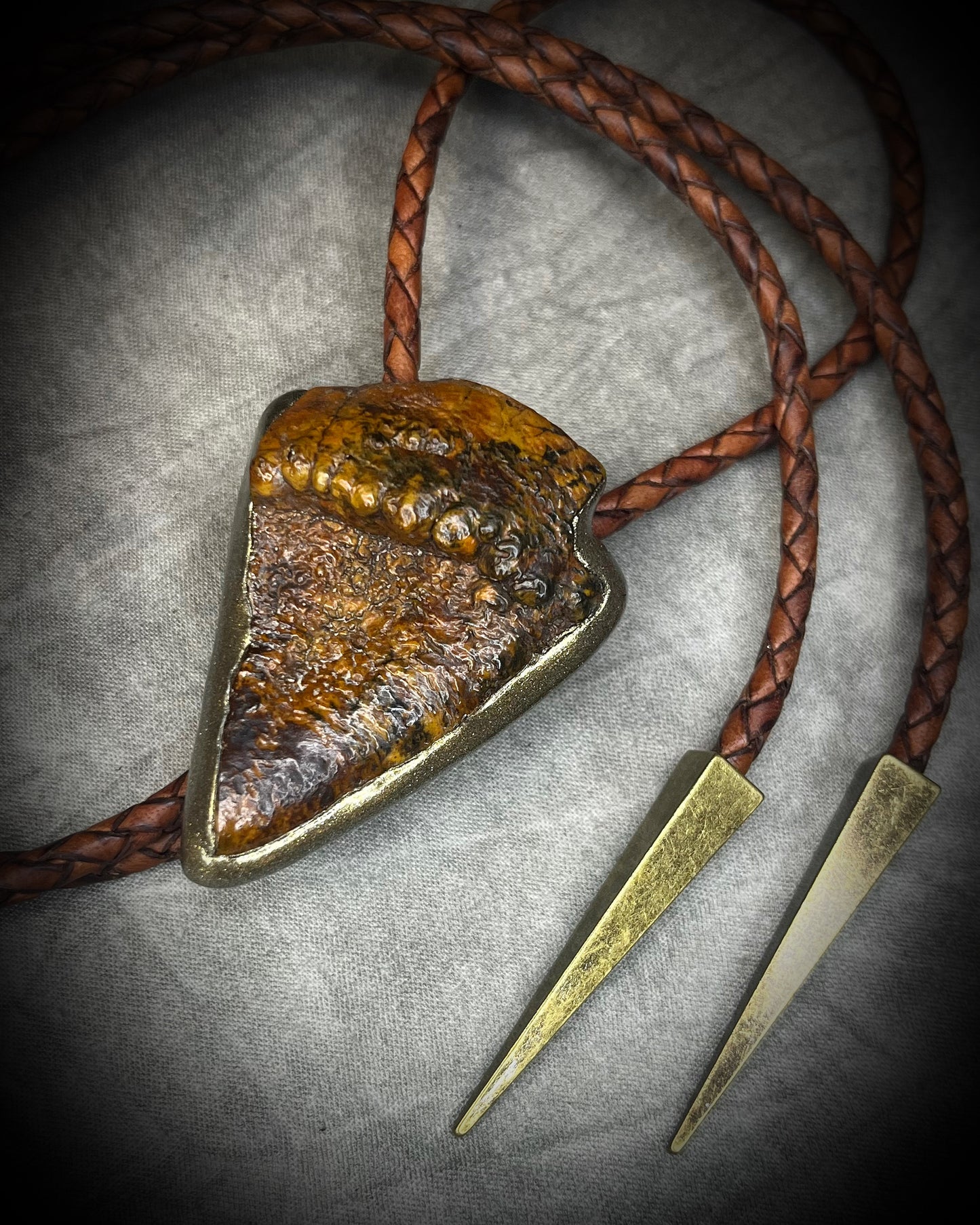 Fossilized mastodon tooth enamel bolo tie showing the natural molar crown edge, with brown leather, gold finish and gold spike tips.