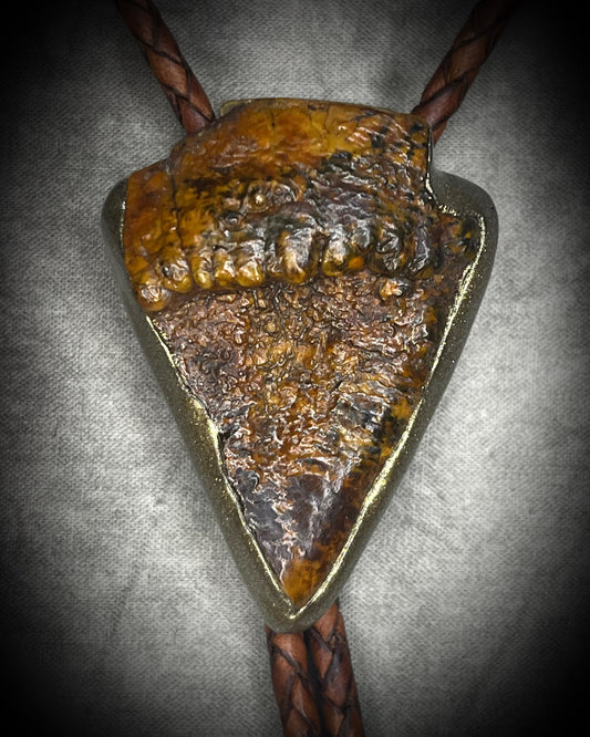 Fossilized mastodon tooth enamel bolo tie showing the natural molar crown edge, with brown leather, gold finish and gold spike tips.