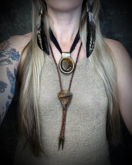Fossilized mastodon tooth enamel bolo tie showing the natural molar crown edge, with brown leather, gold finish and gold spike tips.
