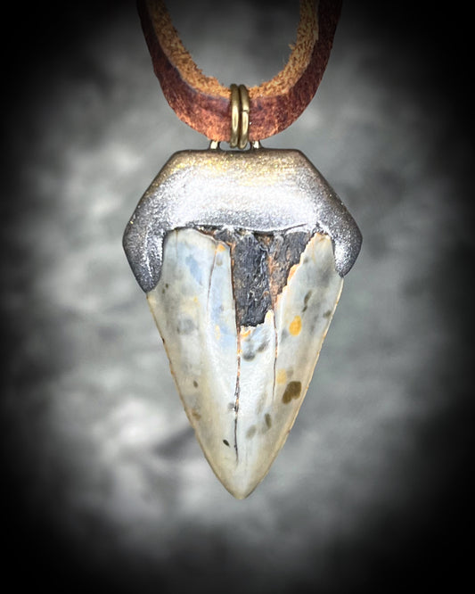 Fossilized shark tooth necklace on rustic brown leather, ocean talisman jewelry for strength, protection, and adventure.