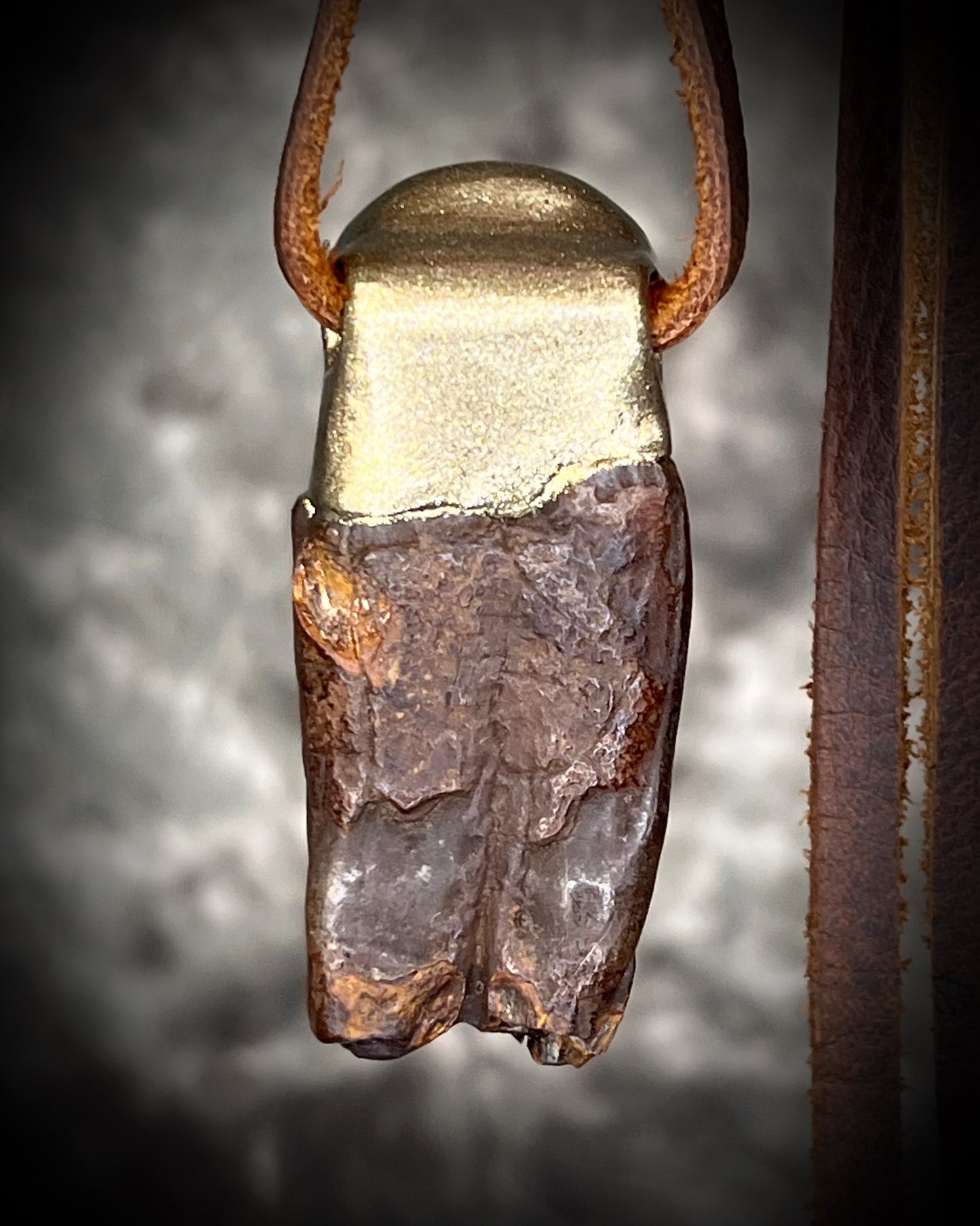 Garnet and Equus fossil tooth talisman necklace in gold finish on brown leather cord, handmade statement fossil jewelry from Baltimore Maryland