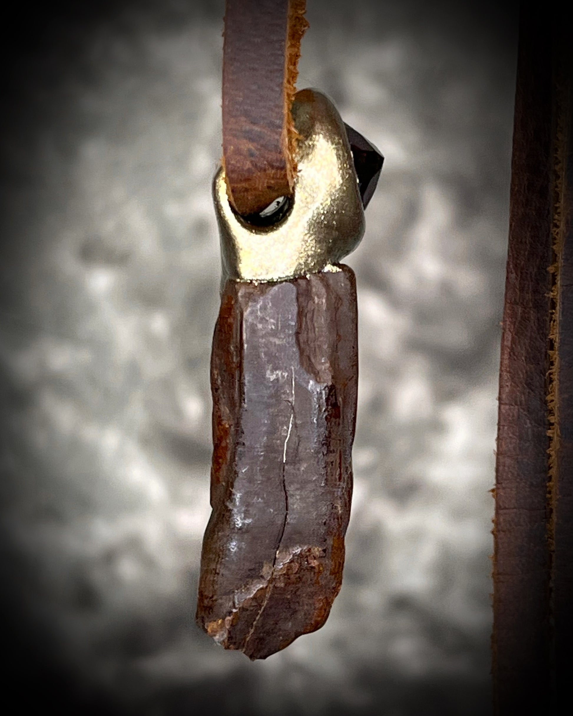 Garnet and Equus fossil tooth talisman necklace in gold finish on brown leather cord, handmade statement fossil jewelry from Baltimore Maryland