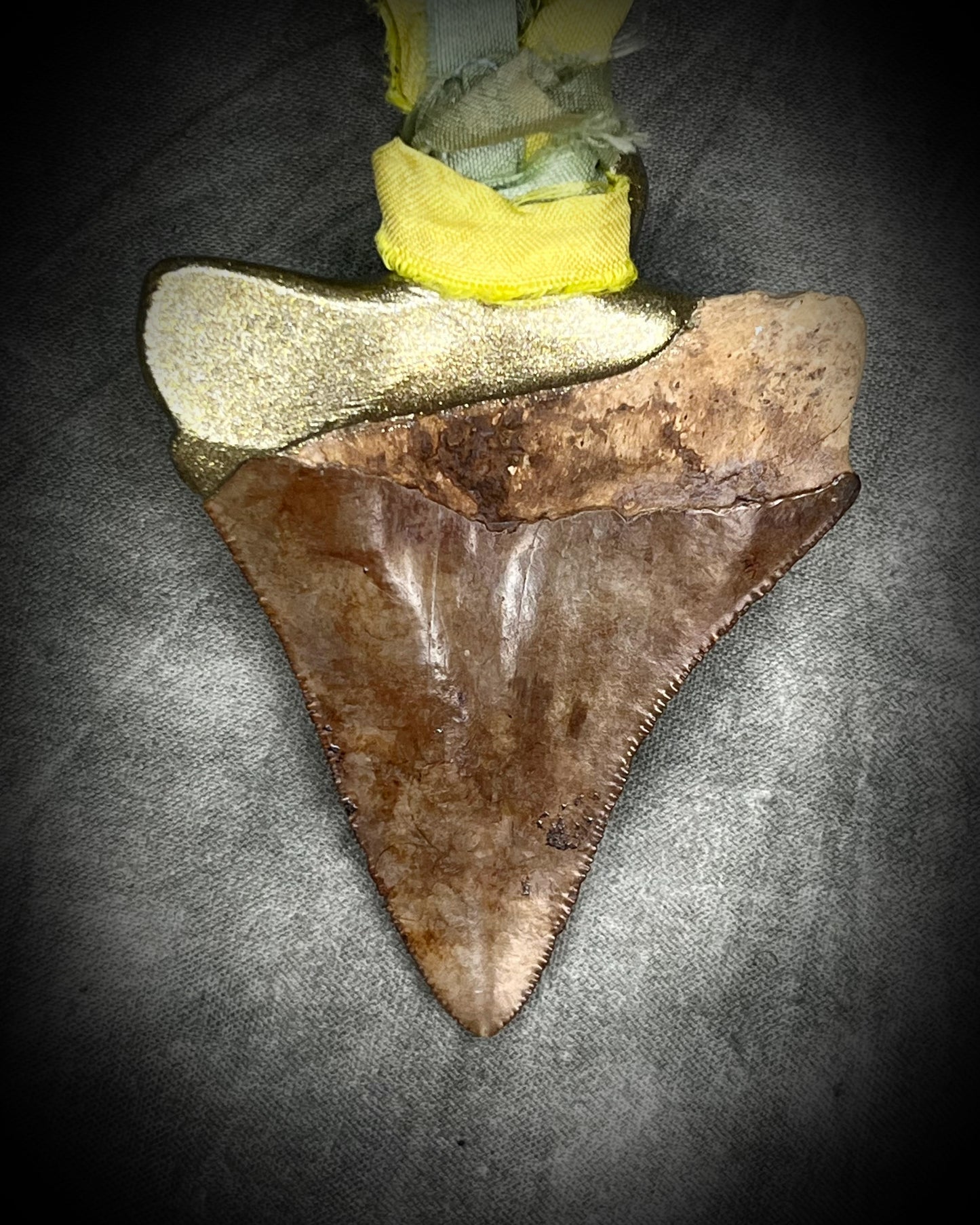 Genuine Megalodon fossil shark tooth talisman with Libyan Desert Glass and mint green and yellow recycled silk ties by Become Spellbound, Baltimore Magazine Best of Baltimore 2026 Jewelry winner.