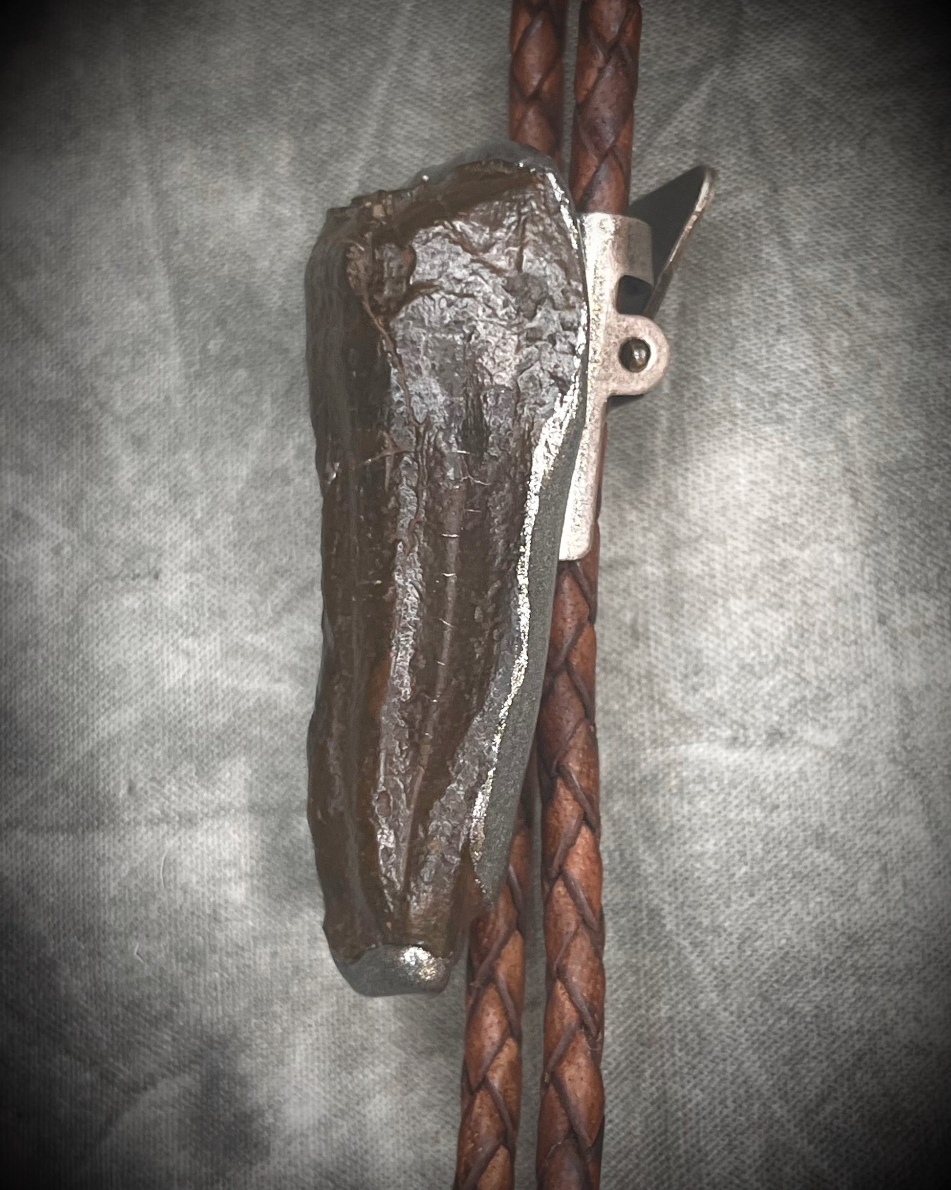 Handmade Equus bolo tie featuring horse tooth fossil centerpiece with gunmetal silver sculptural detailing, brass findings, spike tip ends, and leather cord bolo necklace. Natural history talisman for him, handmade in Baltimore Maryland. 
