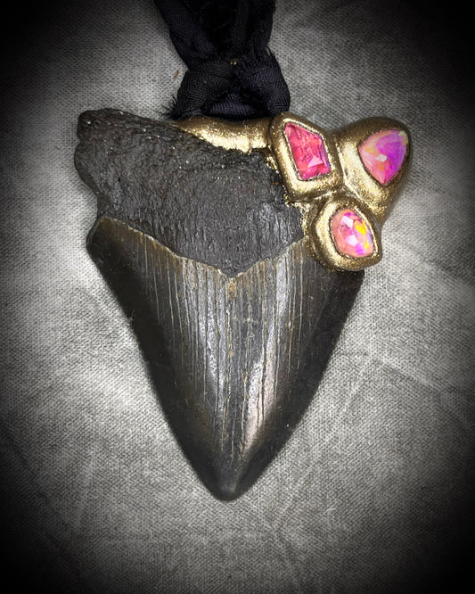 Handmade genuine fossil Megalodon Talisman necklace with bright pink Rubellite Tourmaline gemstones. Hung from elegant black Silk for summer adventures and magic, the perfect gift for her. 