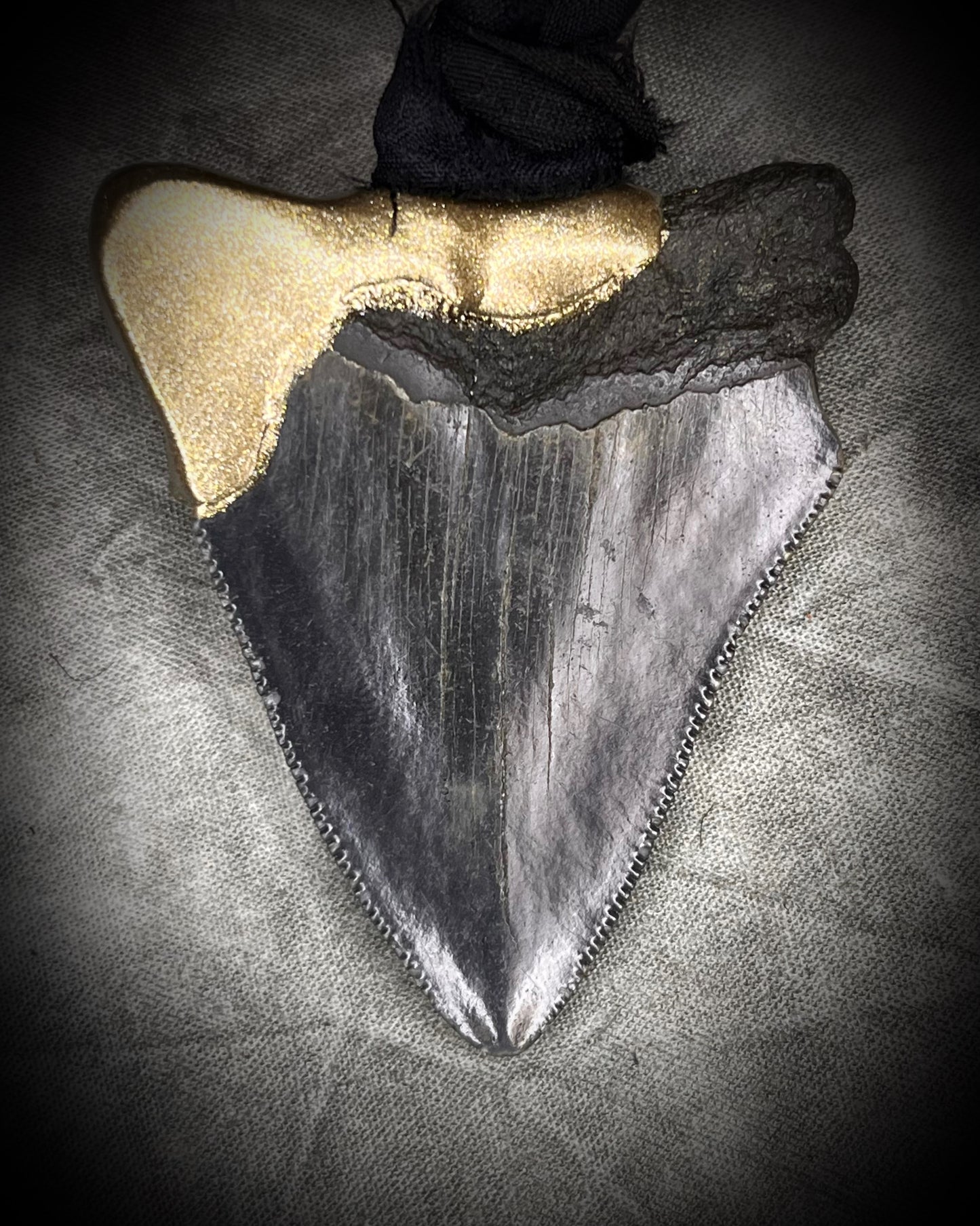Handmade genuine fossil Megalodon Talisman necklace with bright pink Rubellite Tourmaline gemstones. Hung from elegant black Silk for summer adventures and magic, the perfect gift for her. 